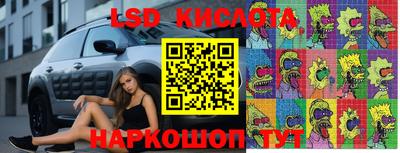 соль ск Кингисепп