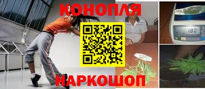 стаф Кимры