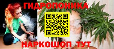2c-b Кинель