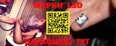 стаф Кимры