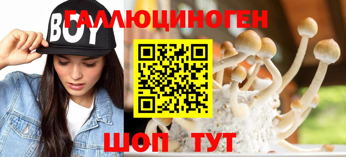Галлюциногенные грибы ЛСД Кореновск