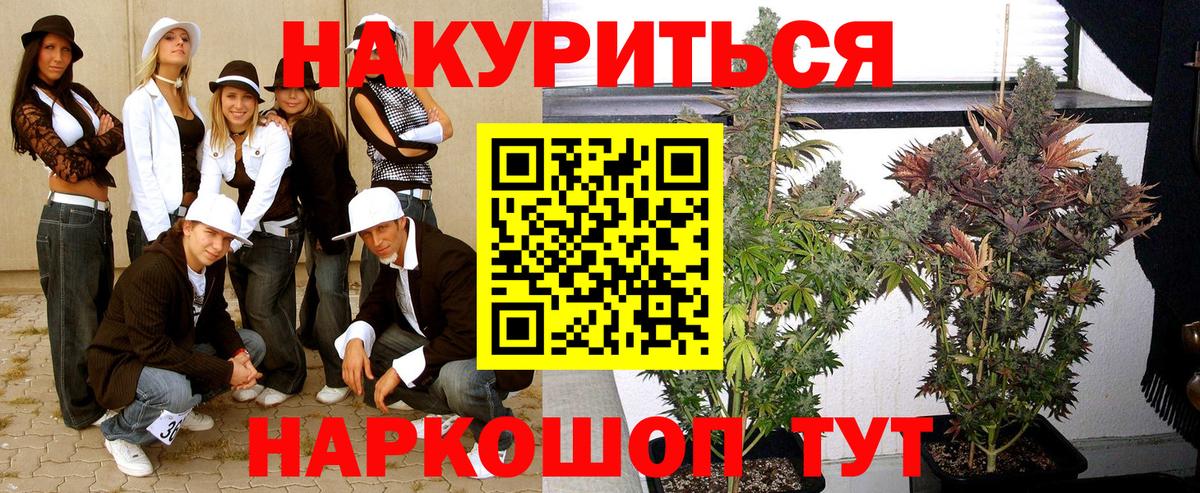 Шишки марихуана конопля Кореновск